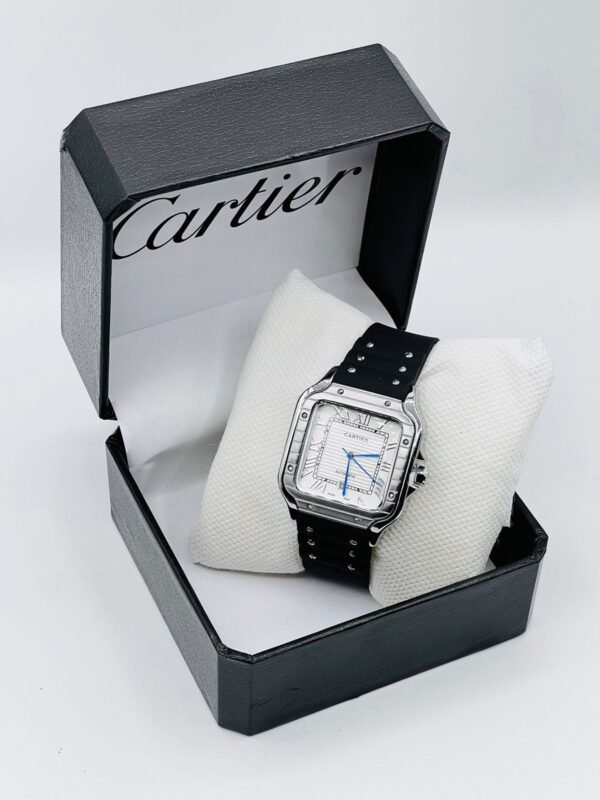 Santos de Cartier Silver Royale